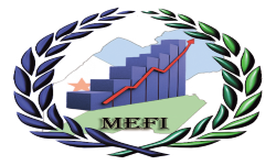 MEFI-LogoR_-pyaqhv2yv6m3631506bhfwwusmtok2qb6keq701k64